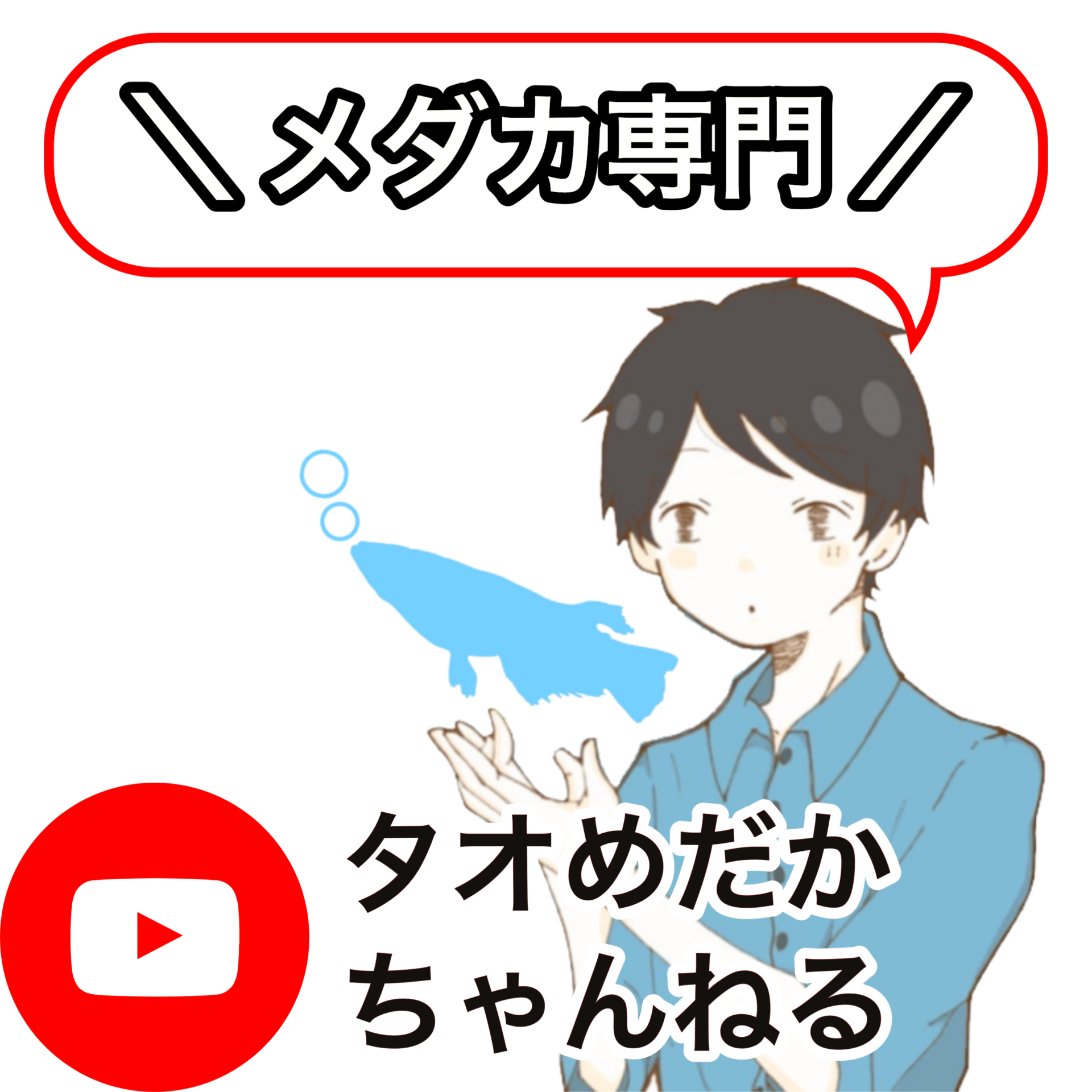 月神メダカの特徴や値段 販売箇所から作出元まで徹底解説 タオめだかブログ