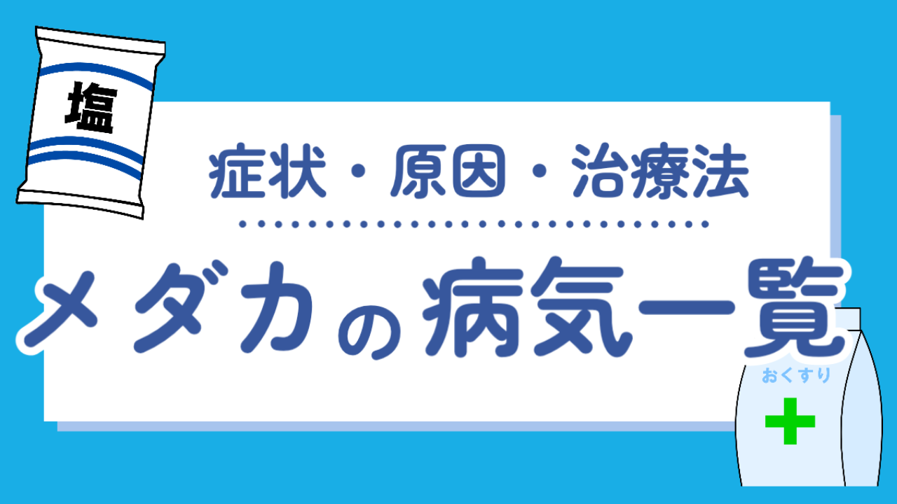 メダカの病気一覧 種類と対処法をお伝えします メダ活のススメ